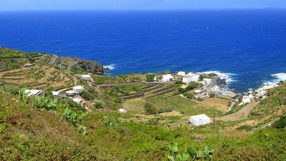 capperi pantelleria 11 570