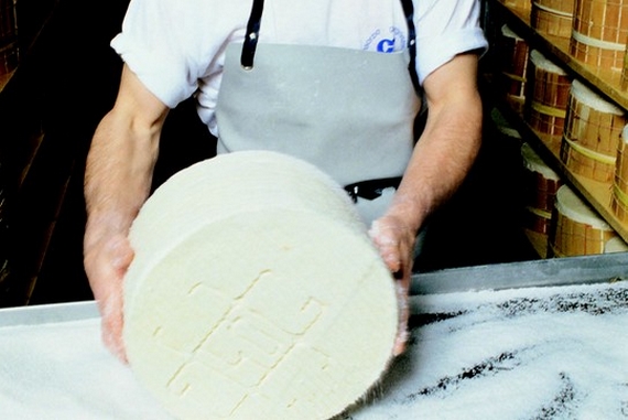 gorgonzola dop casaro 570