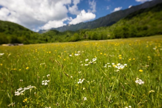 trentino a cheese 2023 casagrande 07 570