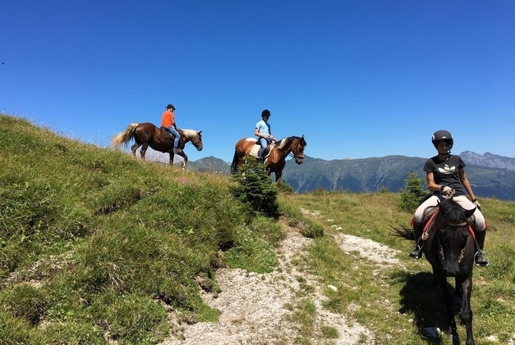 07 Experience Visit Zoncolan passeggiate a cavallo