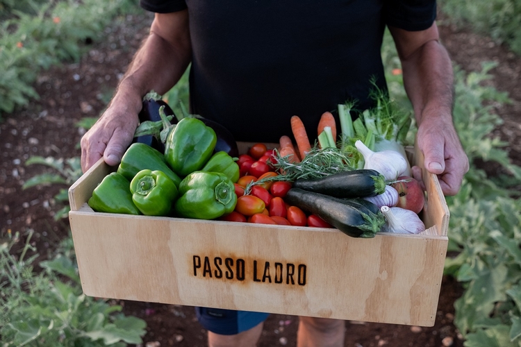 Passo Ladro Cassetta verdura 750