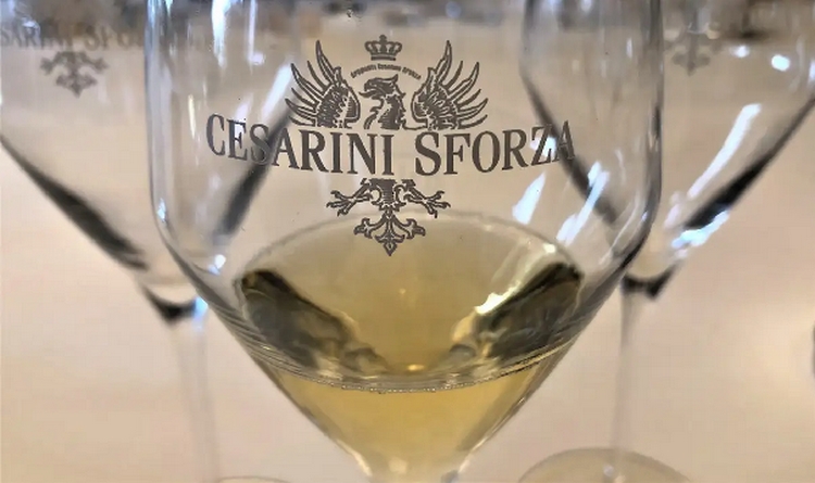 cesarini sforza brindisi 50 anni casagrande 2024 12