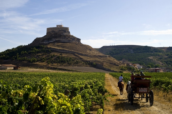 tempranillo casagrande itin 22 8 570.jpg