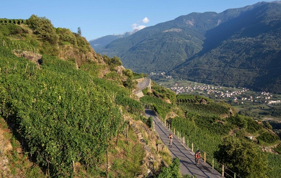 valtellina identità golose alessandro negrini vini 7 itin 22 570.jpg